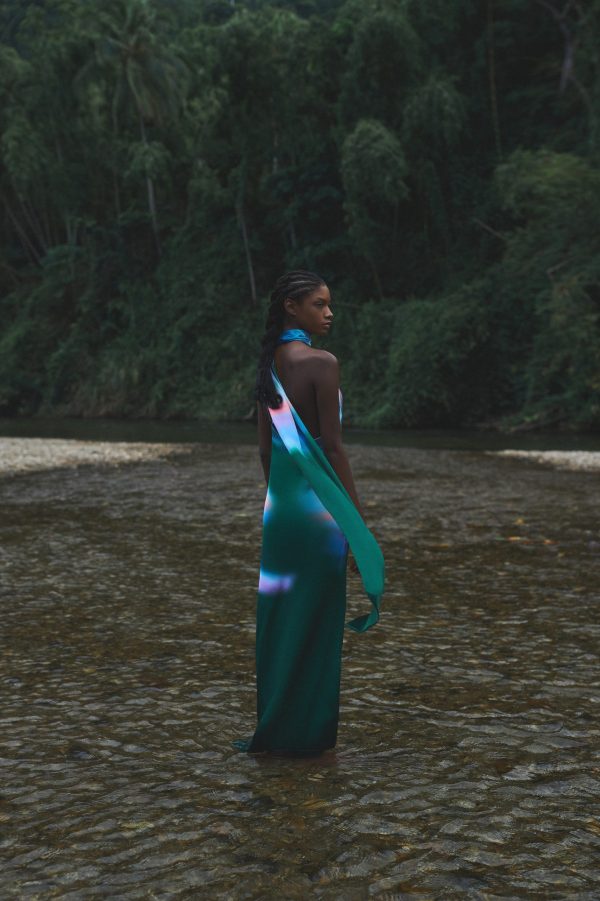 ARI DRESS - Image 2